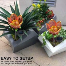 Energy Efficient Solar Garden