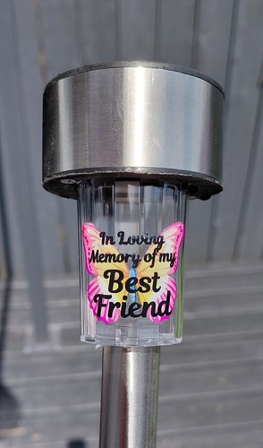 Butterfly loving memory - butterfly, of